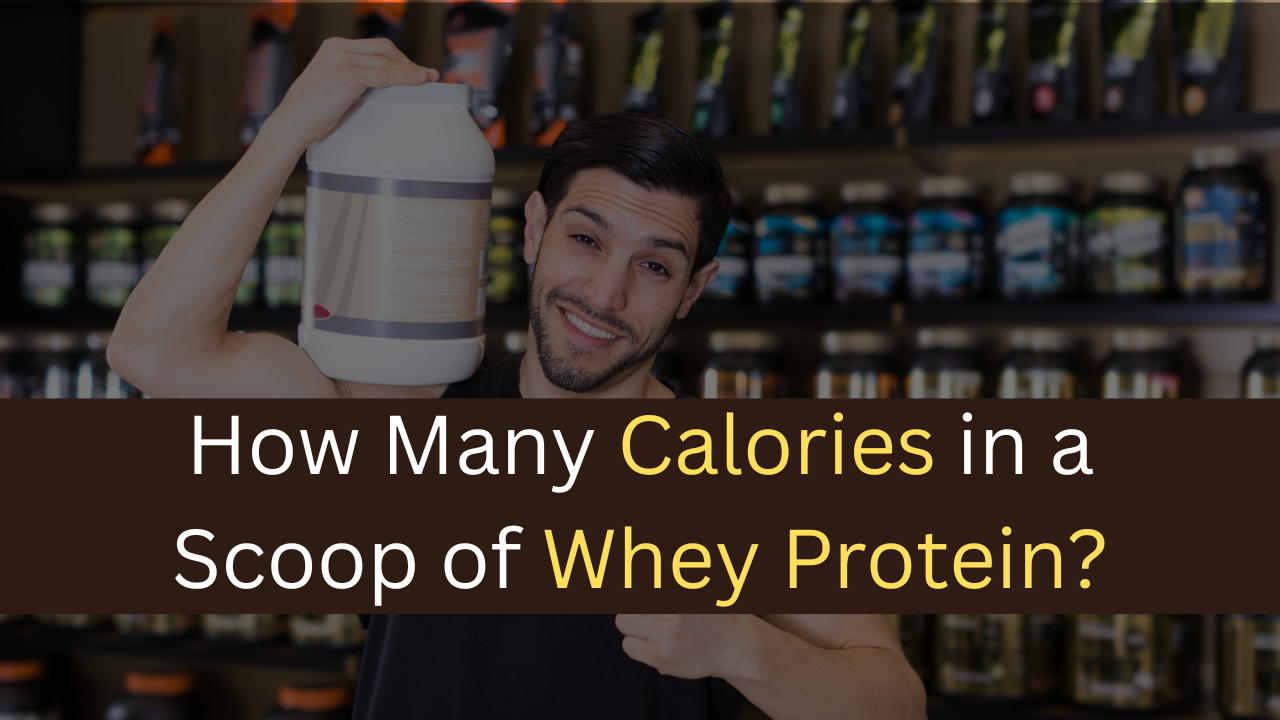 How Many Calories in a Scoop of Whey Protein?-maxproteinhub