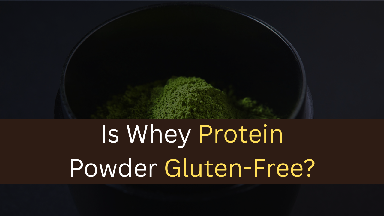 Is Whey Protein Powder Gluten-Free?-maxproteinhub