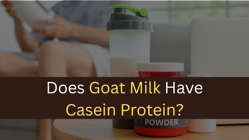 Does Goat Milk Have Casein Protein?-maxproteinhub