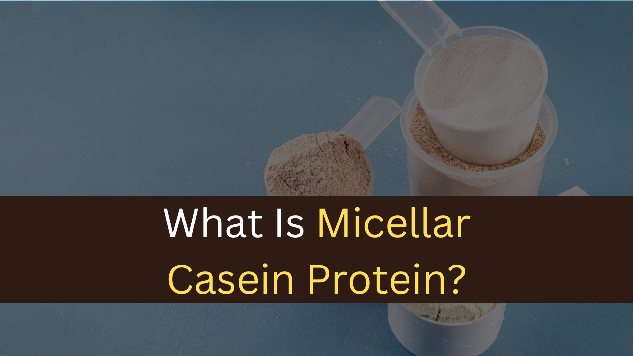 What Is Micellar Casein Protein?-maxproteinhub