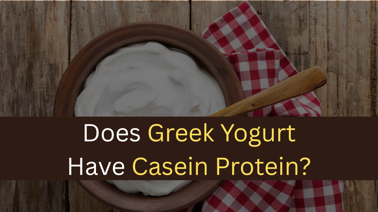 Does Greek Yogurt Have Casein Protein?-maxproteinhub