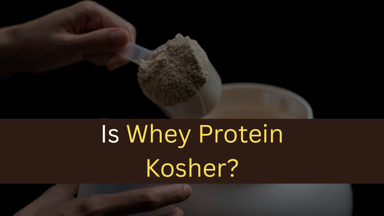 Is Whey Protein Kosher-maxproteinhub