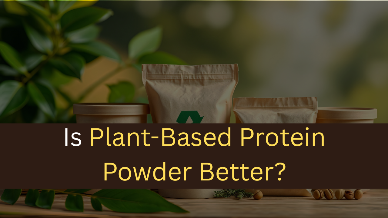 Is Plant-Based Protein Powder Better?-maxproteinhub