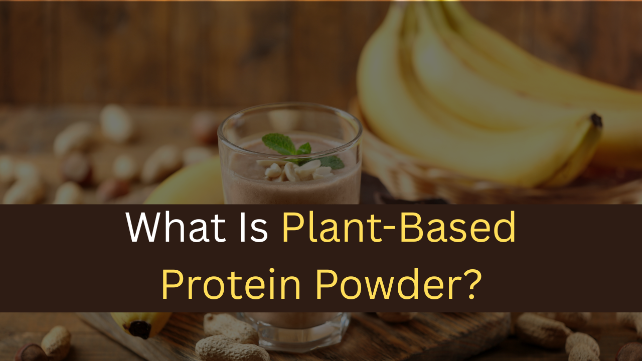 What Is Plant-Based Protein Powder?-maxproteinhub