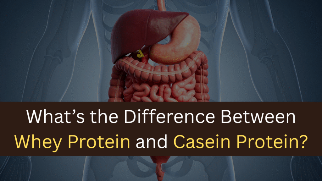 What’s the Difference Between Whey Protein and Casein Protein?-maxproteinhub