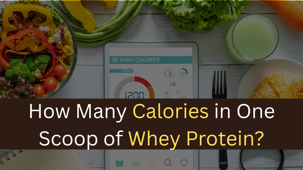 How Many Calories in One Scoop of Whey Protein?-maxproteinhub