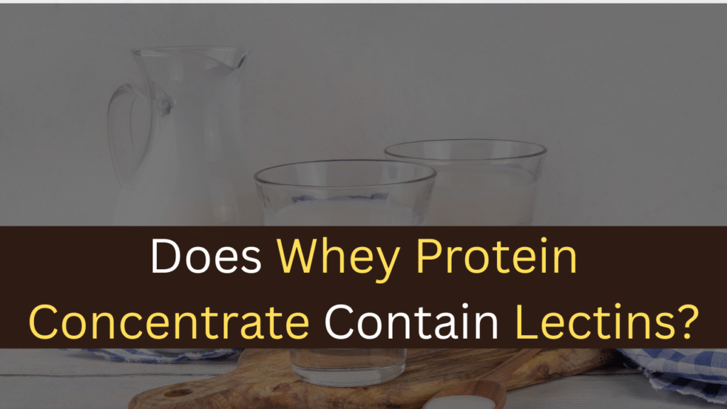 Does Whey Protein Concentrate Contain Lectins? - maxproteinhub
