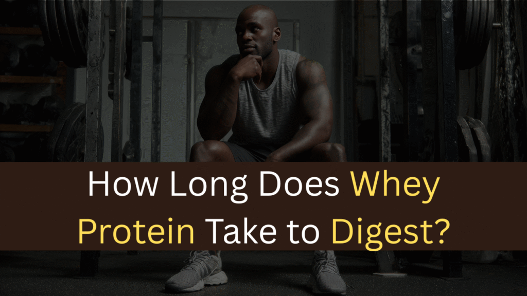 How Long Does Whey Protein Take to Digest?-maxproteinhub