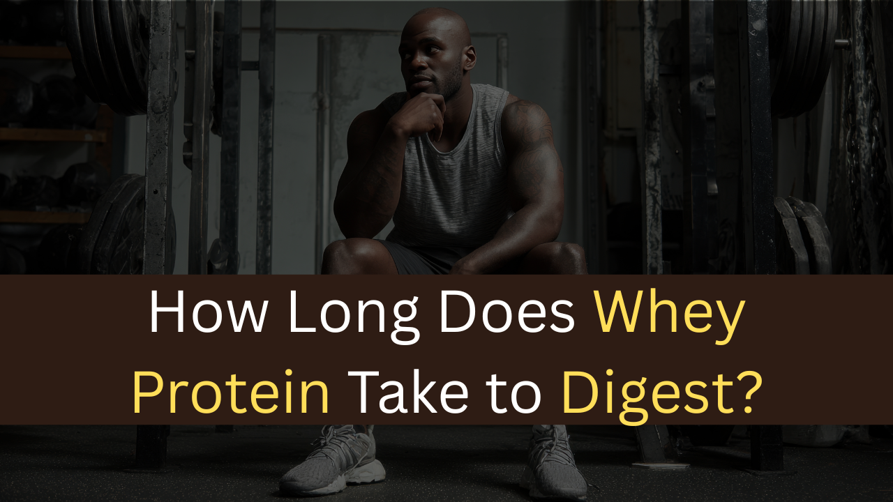 How Long Does Whey Protein Take to Digest?-maxproteinhub
