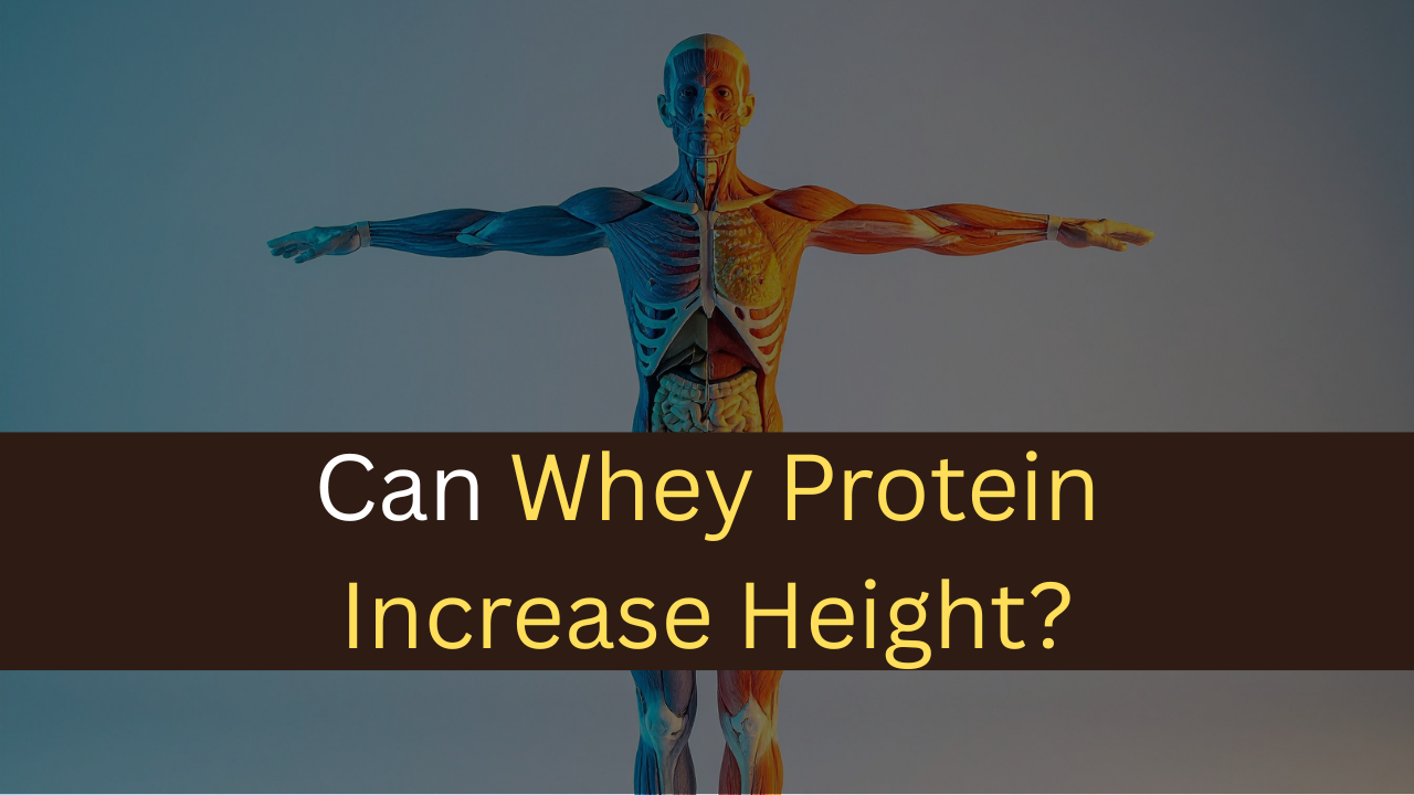 Can Whey Protein Increase Height? - maxproteinhub