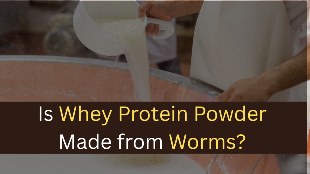 Is Whey Protein Powder Made from Worms? - maxproteinhub