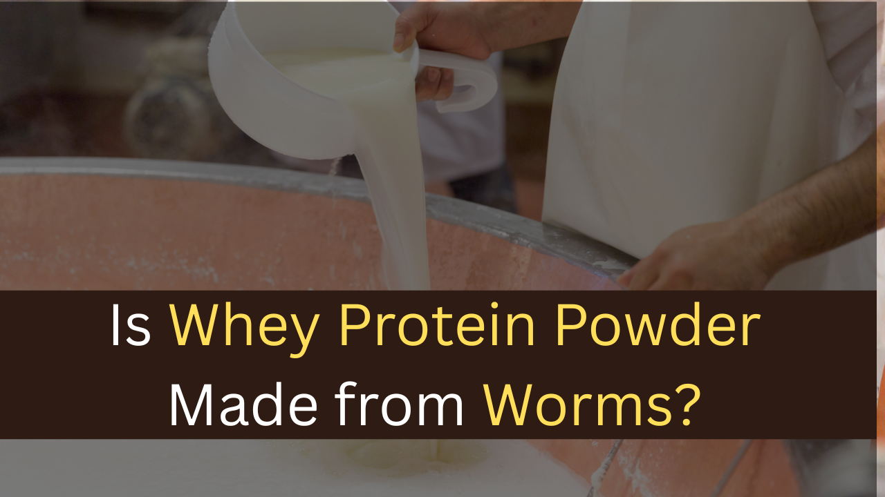 Is Whey Protein Powder Made from Worms? - maxproteinhub