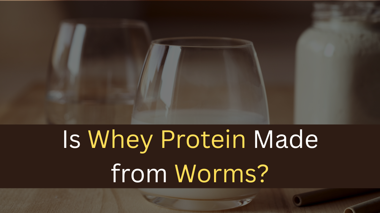 Is Whey Protein Made from Worms? - maxproteinhub