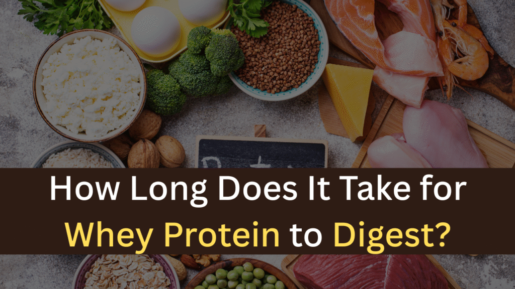 How Long Does It Take for Whey Protein to Digest - maxproteinhub
